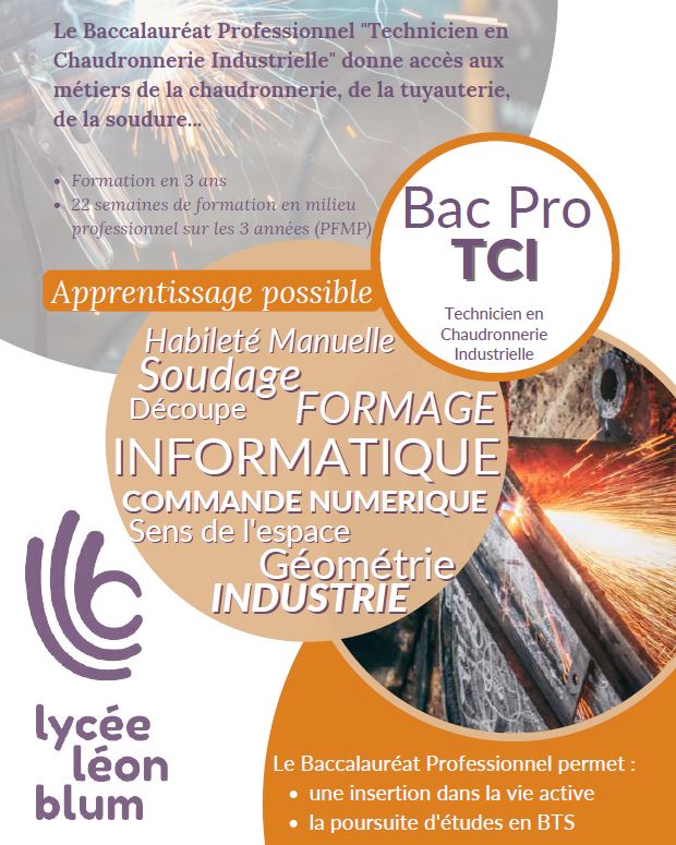 bac pro tci blum